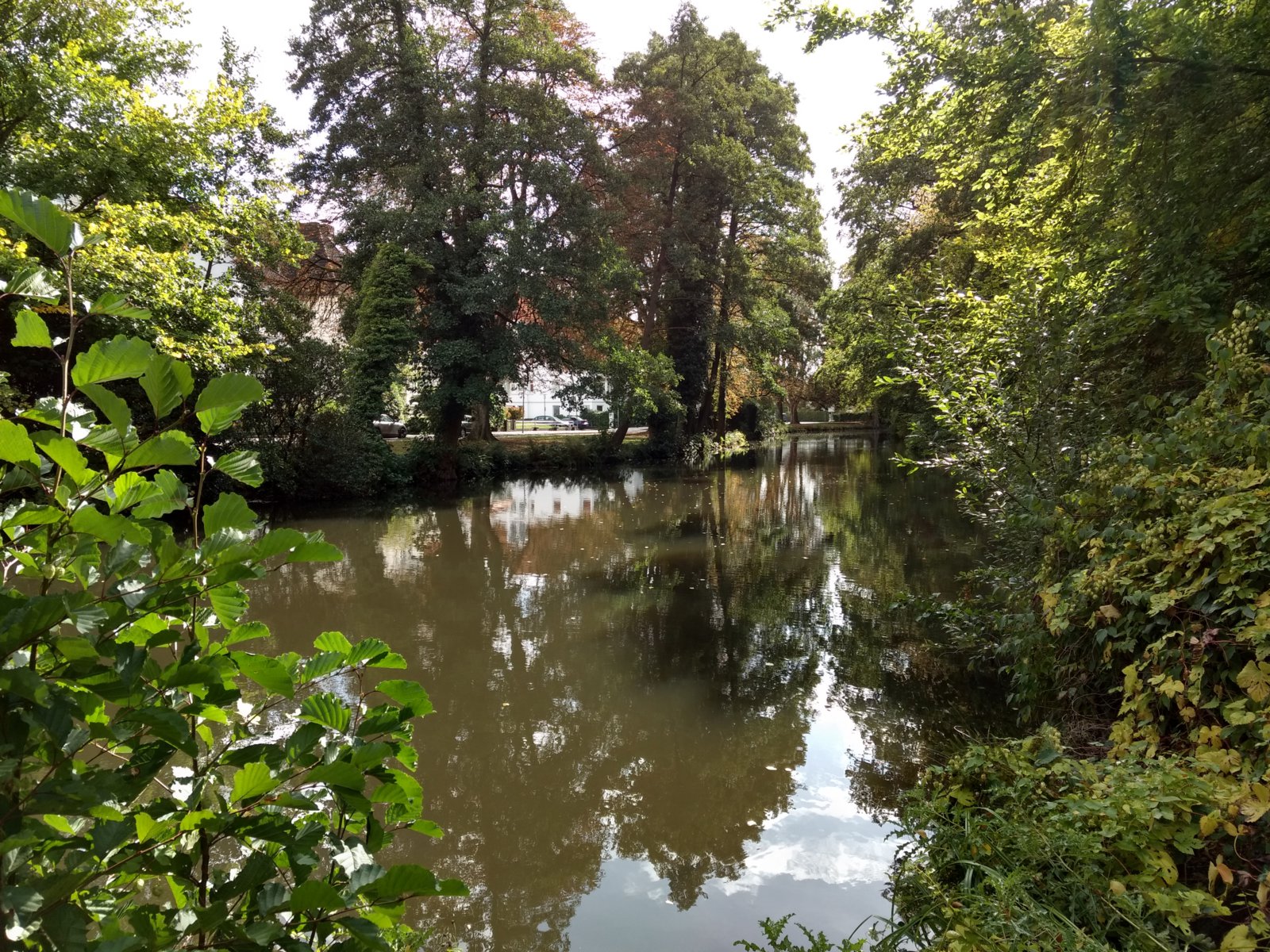 IMG_20181003_132113192_HDR.jpg