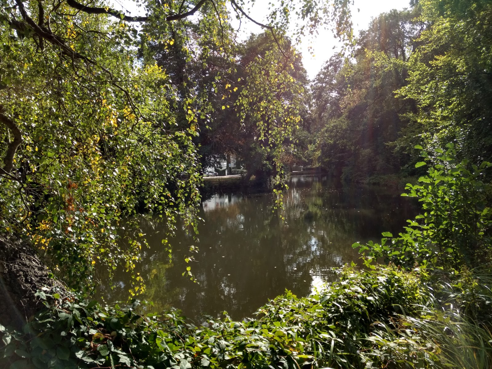 IMG_20181003_132123932_HDR.jpg