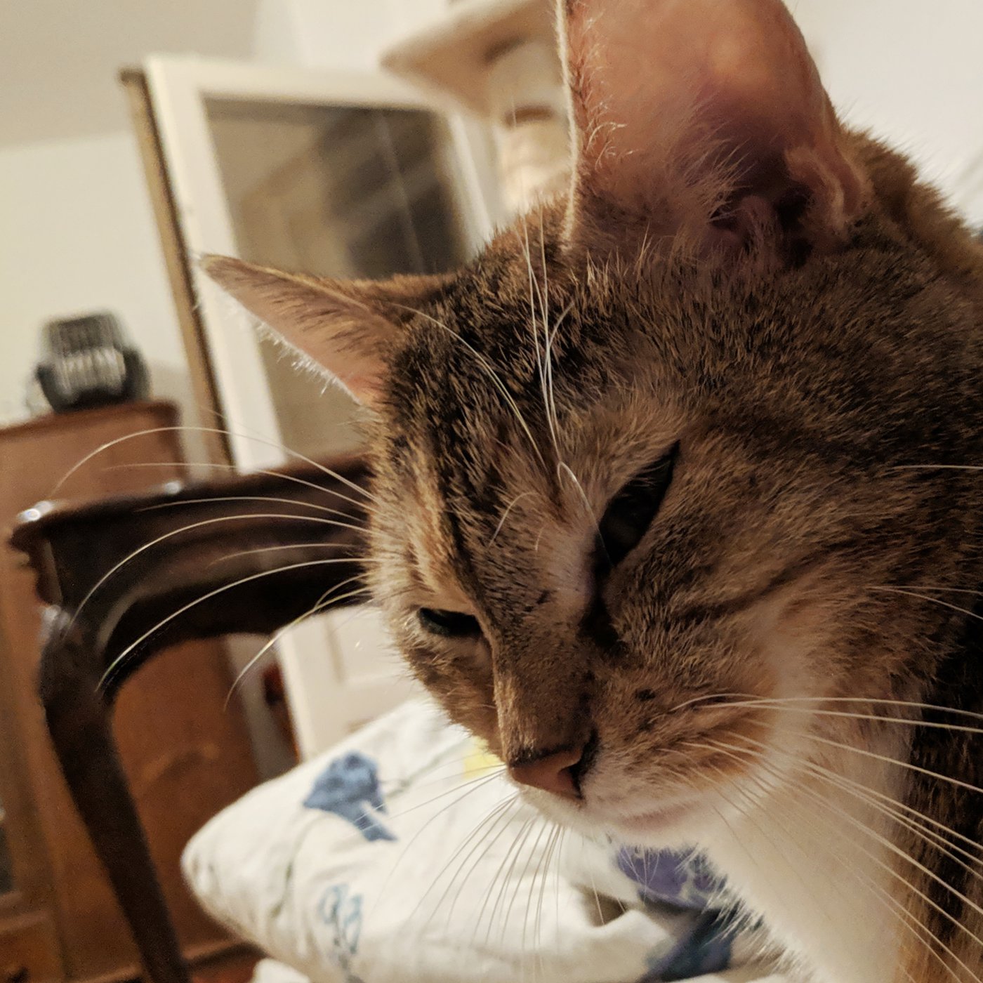 IMG_20181024_013654.jpg