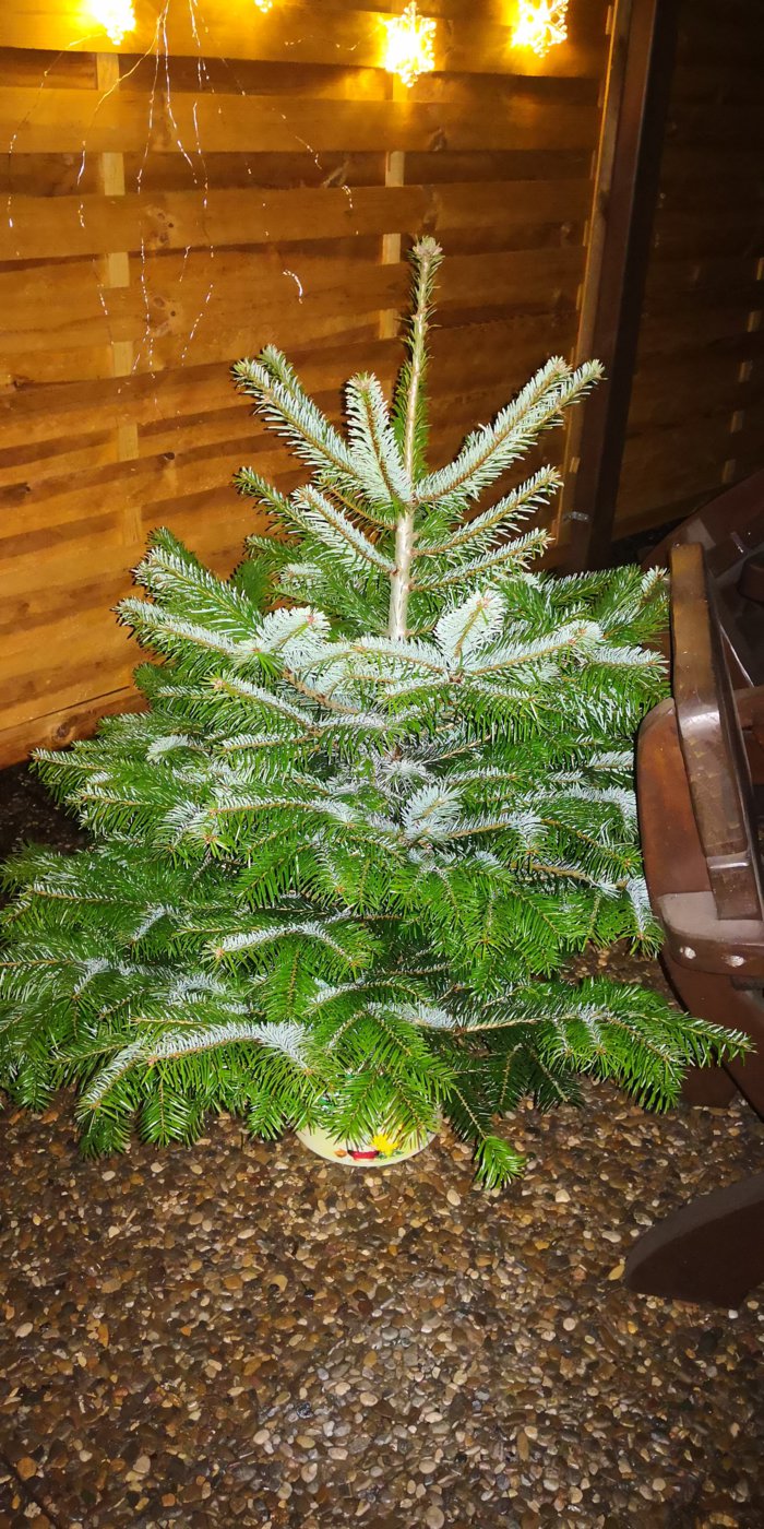 IMG_20181221_195816.jpg