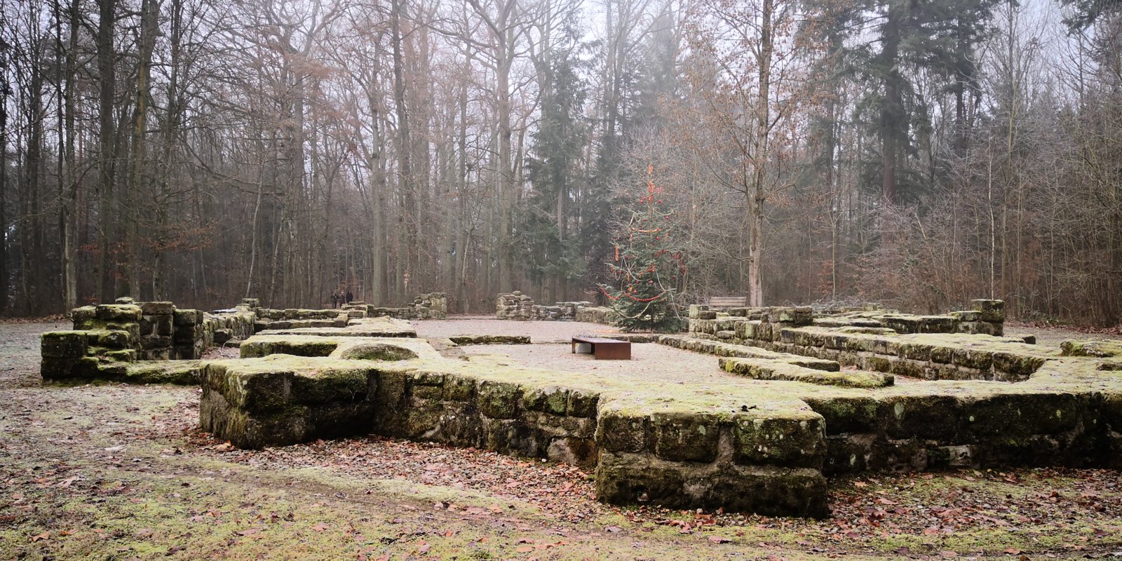 IMG_20181226_135653.jpg