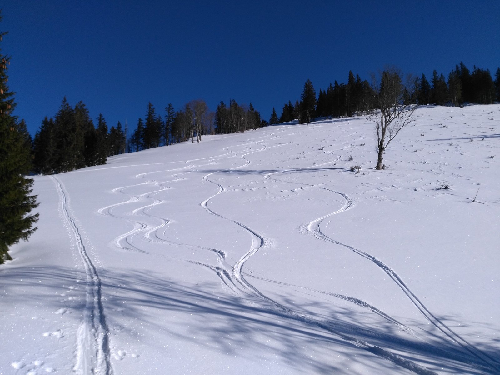IMG_20190121_110238.jpg
