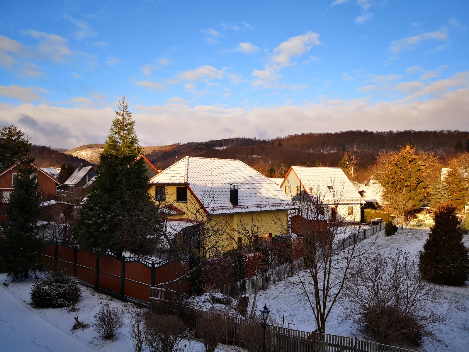 IMG_20190129_091746.jpg