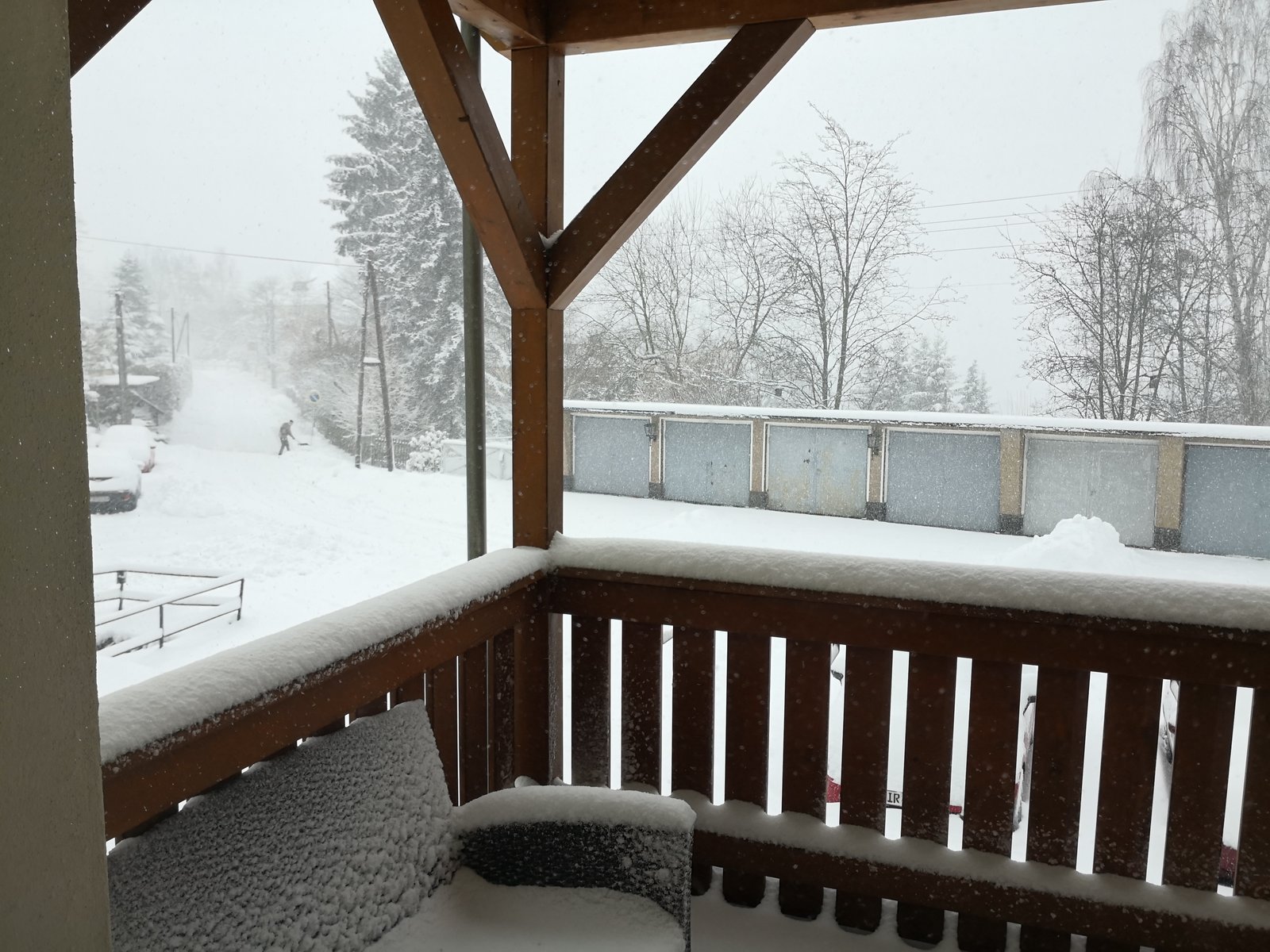 IMG_20190203_115907.jpg