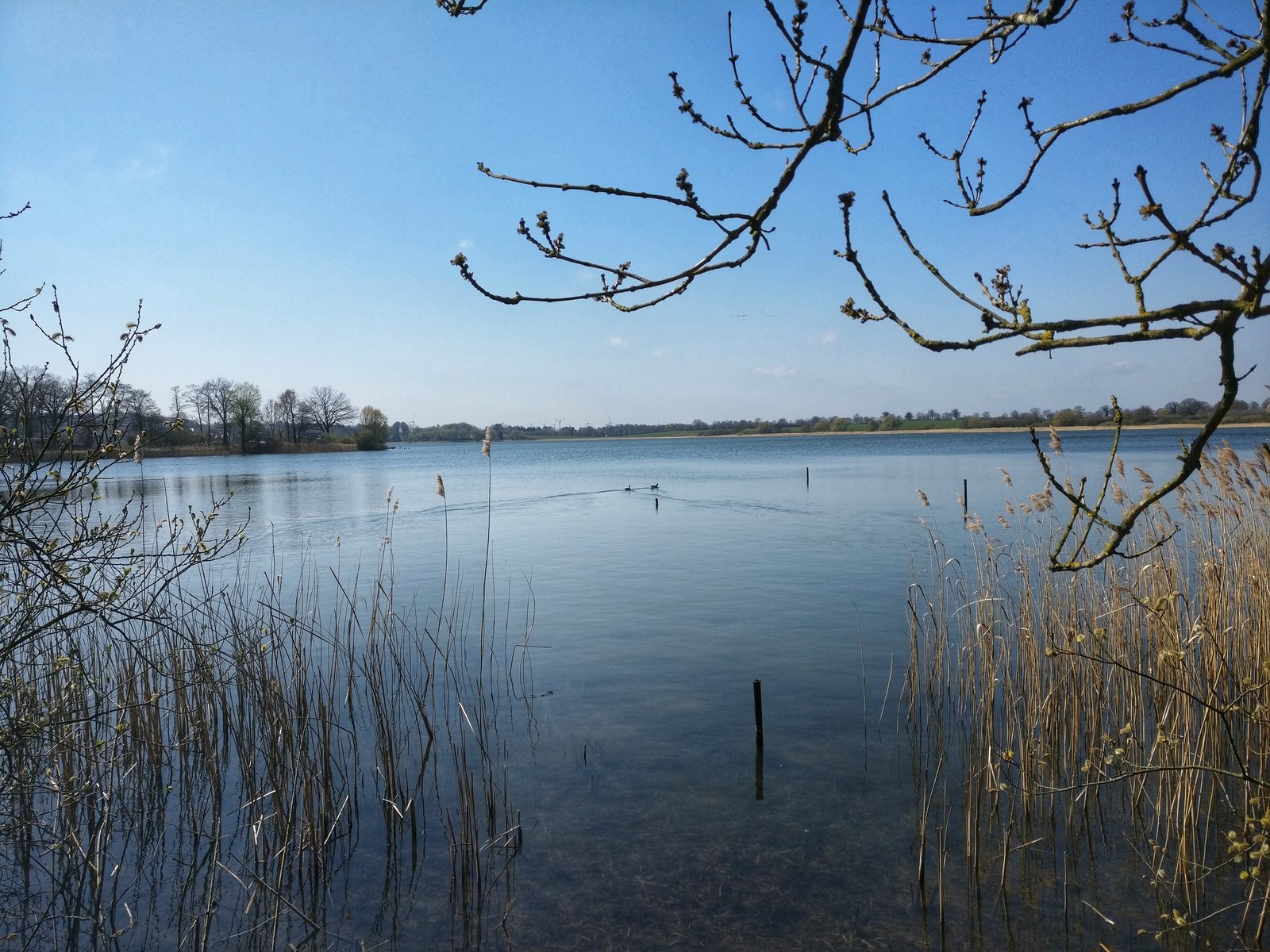 IMG_20190416_123157-01.jpeg