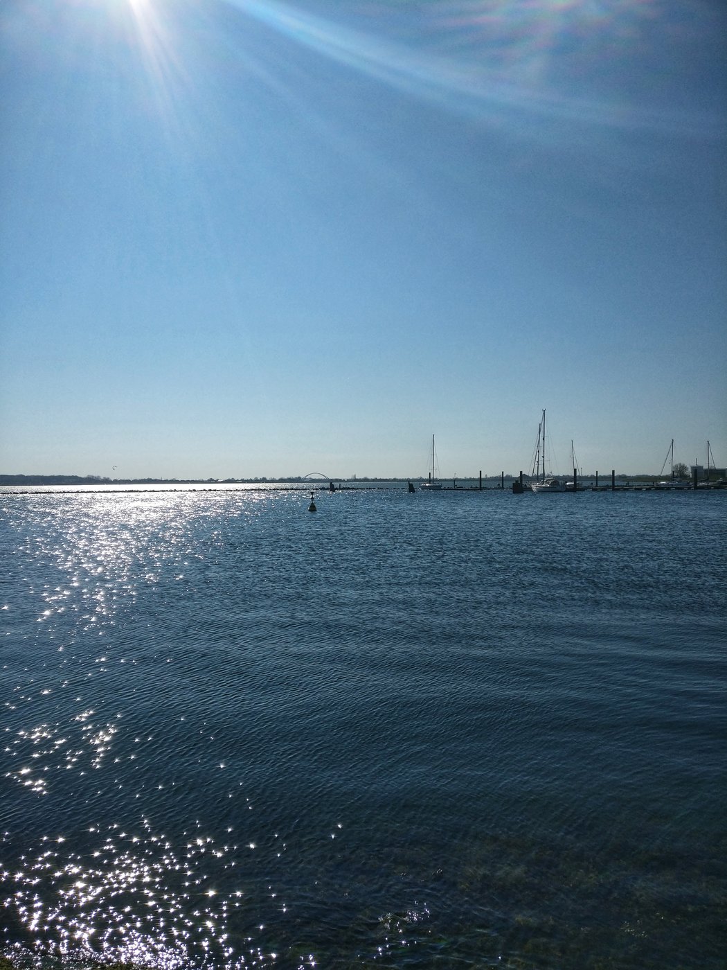IMG_20190417_160814-01.jpeg