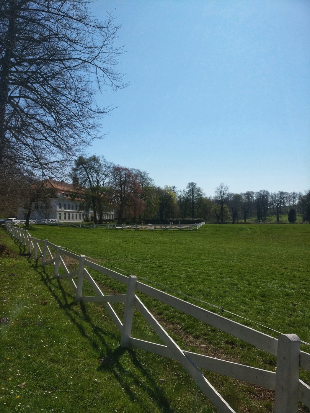 IMG_20190419_132626-01.jpeg