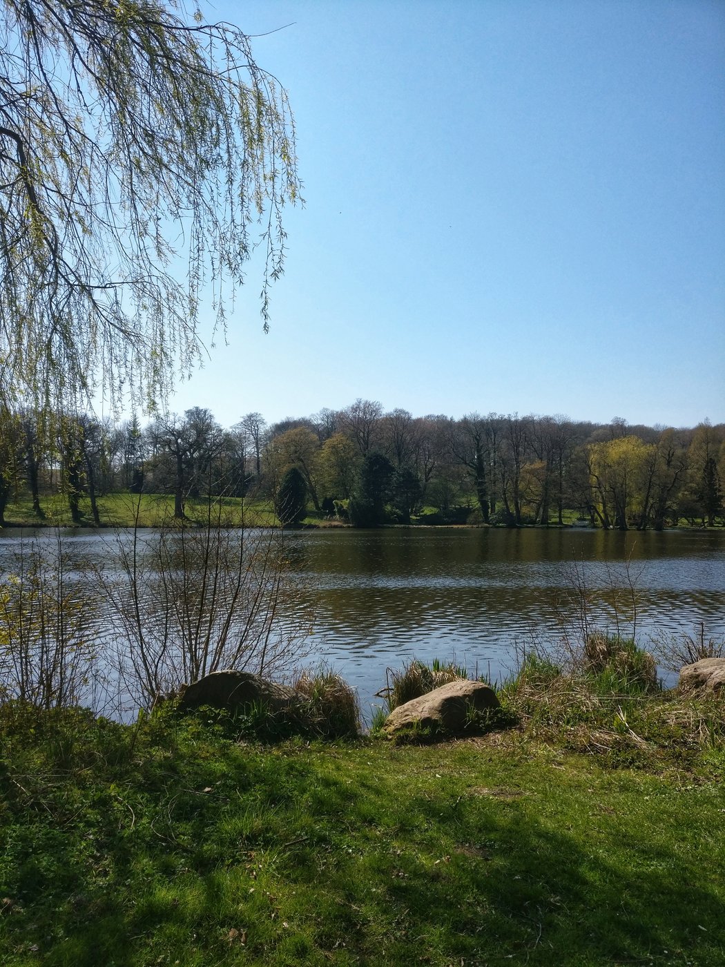 IMG_20190419_134843-01.jpeg
