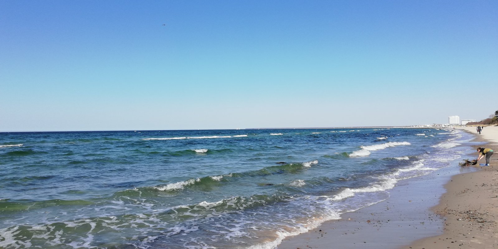 IMG_20190419_164548.jpg