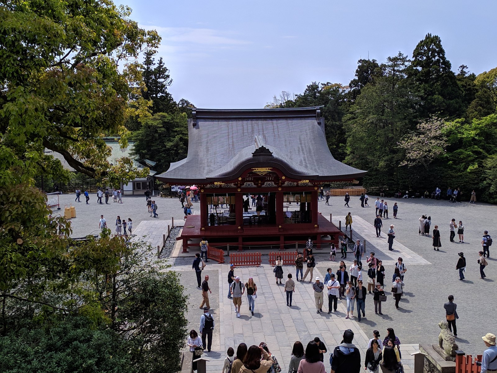 IMG_20190421_113458.jpg