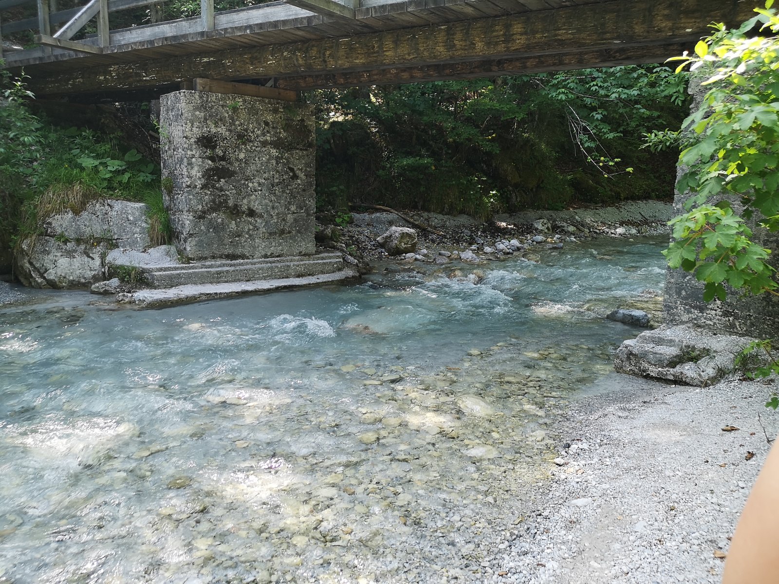 IMG_20190614_150931.jpg