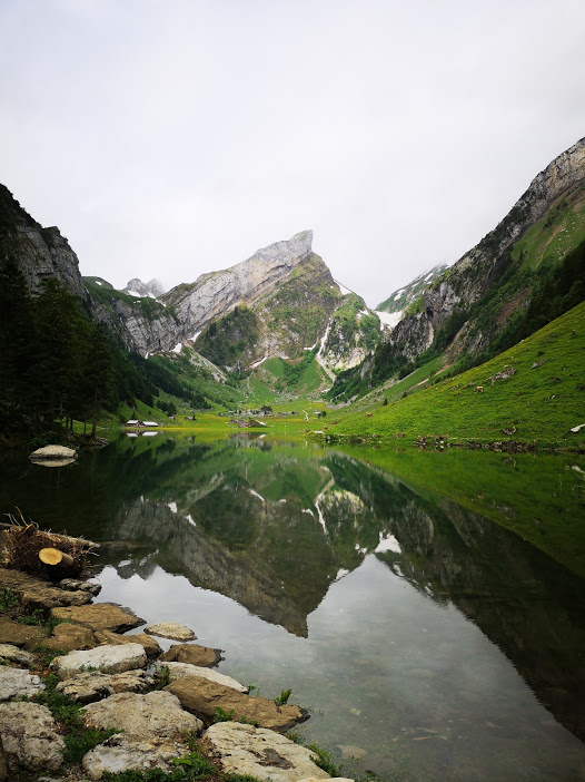 IMG_20190615_093603.jpg