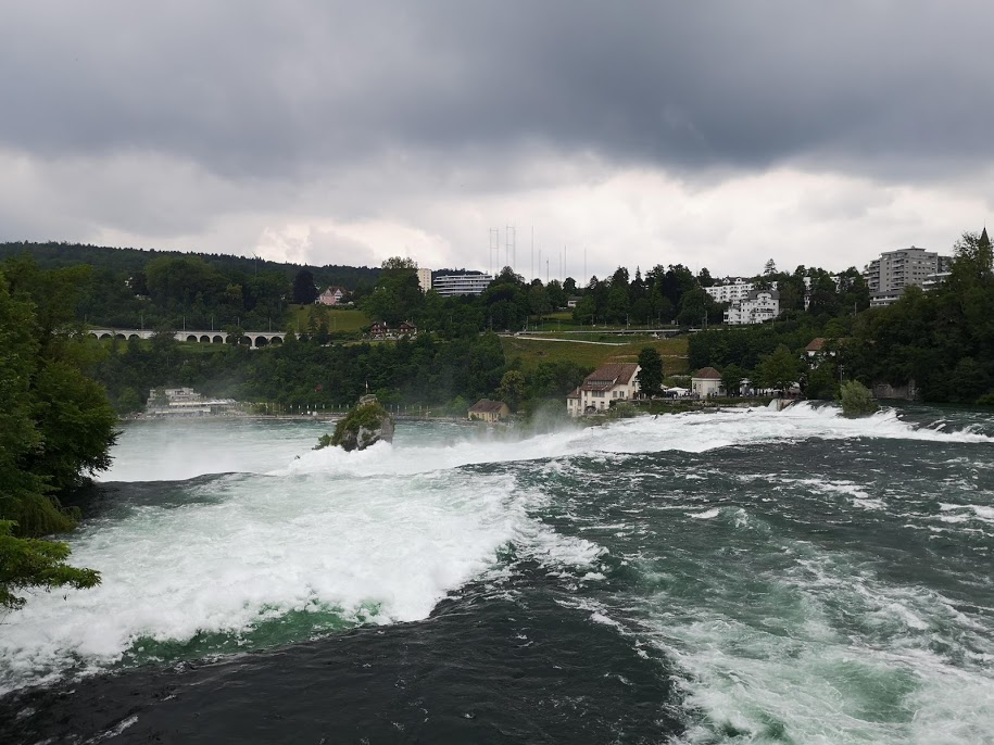 IMG_20190622_122309.jpg