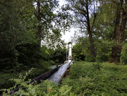IMG_20190706_121006_BURST1-ANIMATION.gif