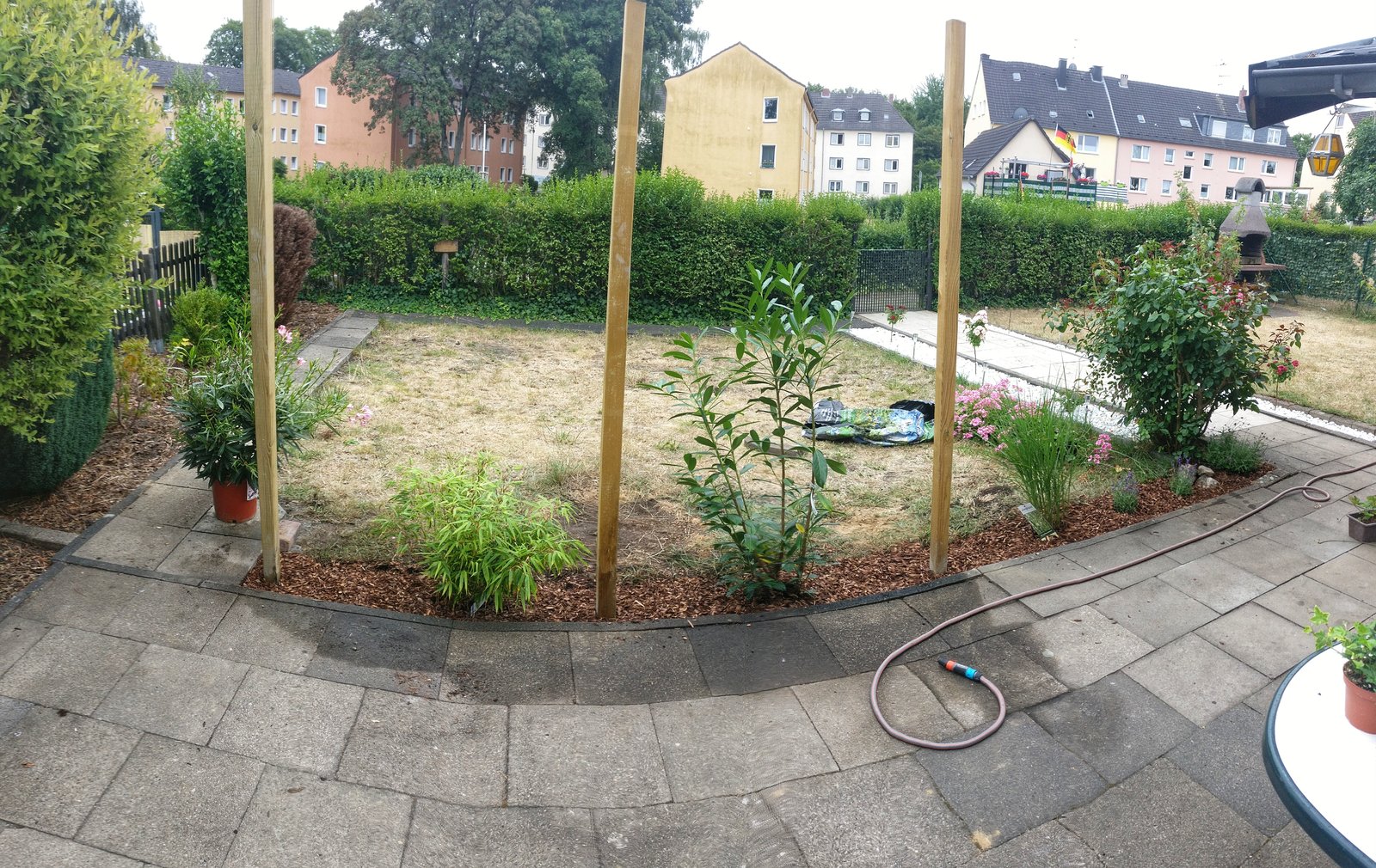 IMG_20190710_190908-01.jpeg