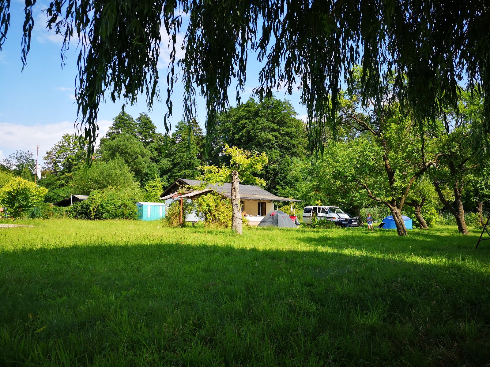 IMG_20190727_154407.jpg