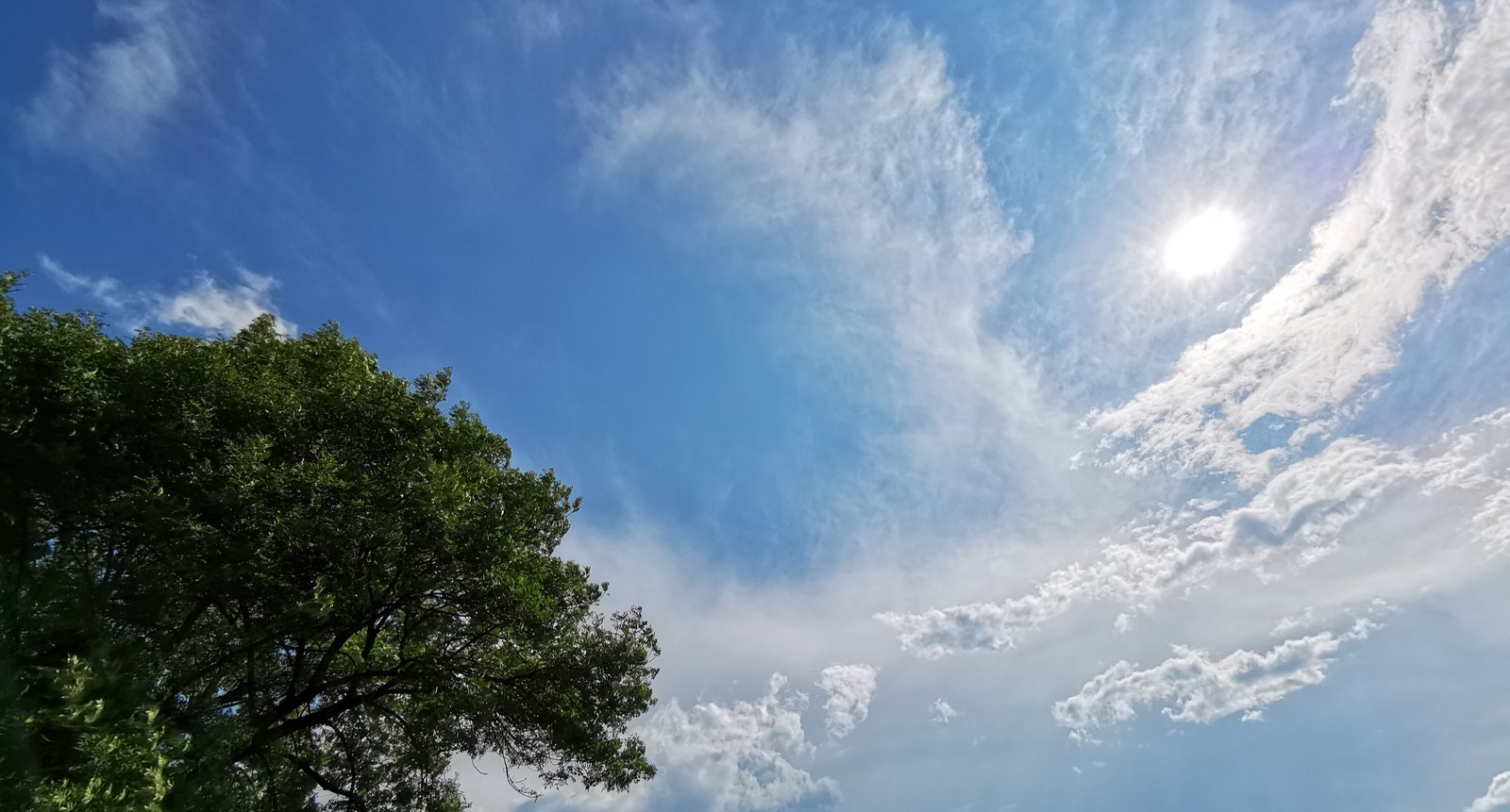 IMG_20190727_154431.jpg
