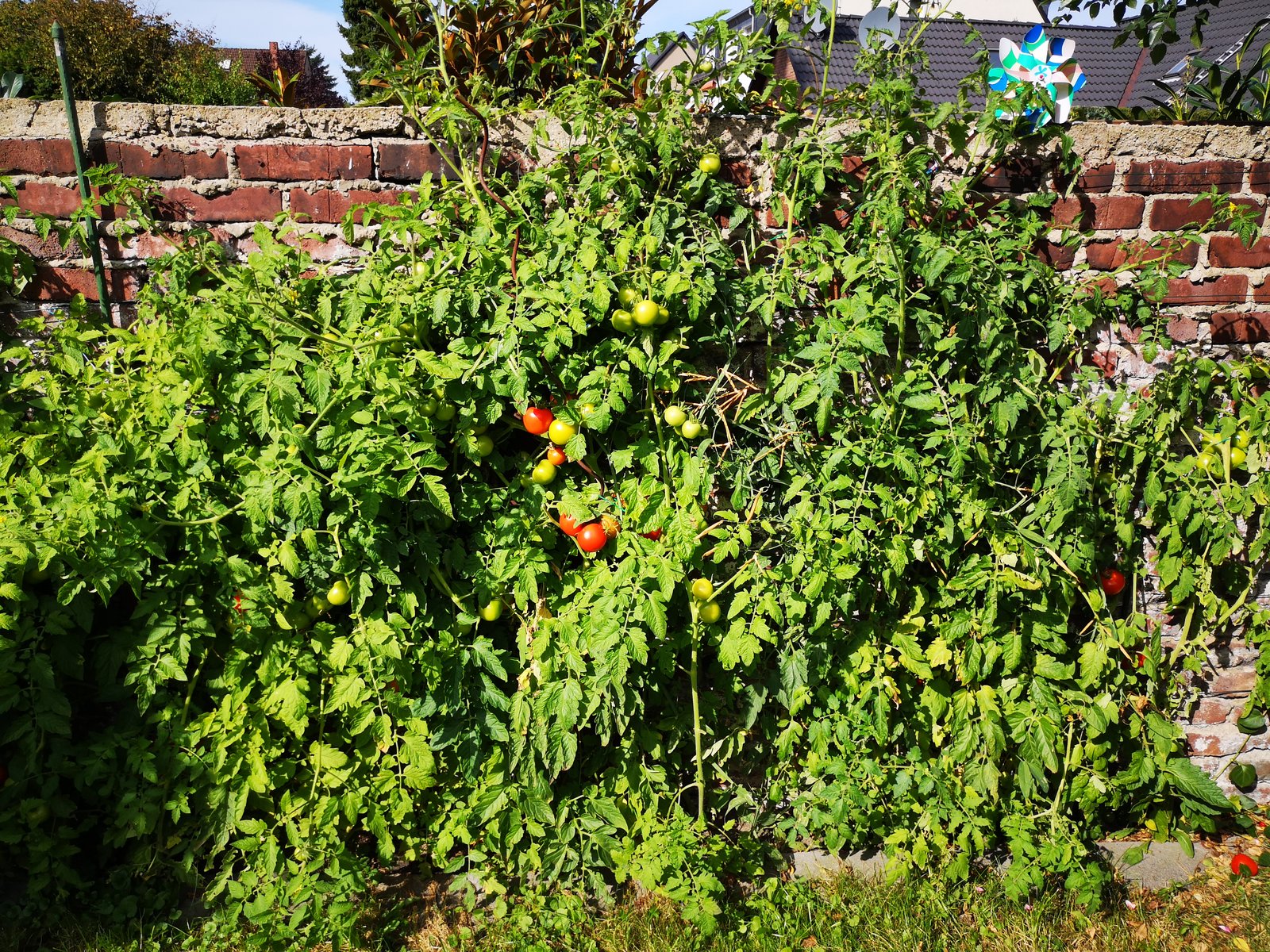 IMG_20190922_121459.jpg