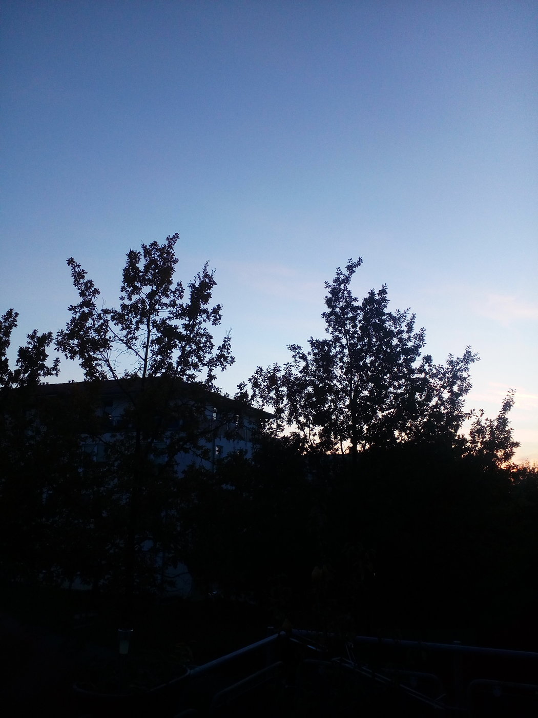 IMG_20191031_164610.jpg