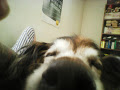 IMG_20200609_185259.jpg