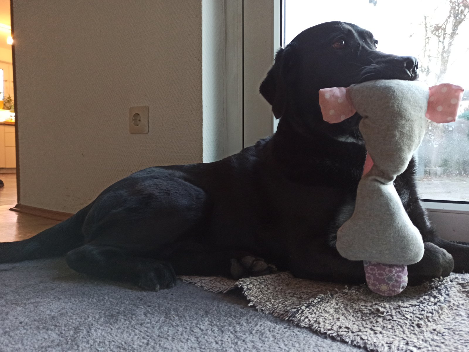 IMG_20201203_162120.jpg