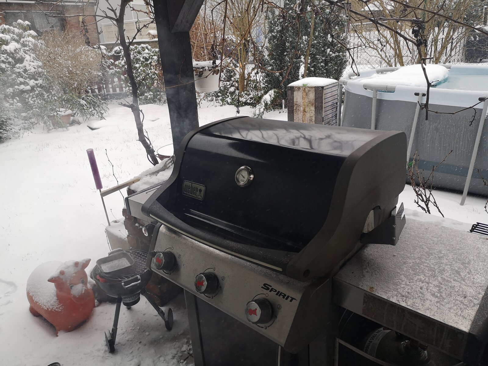 IMG_20210207_114324.jpg