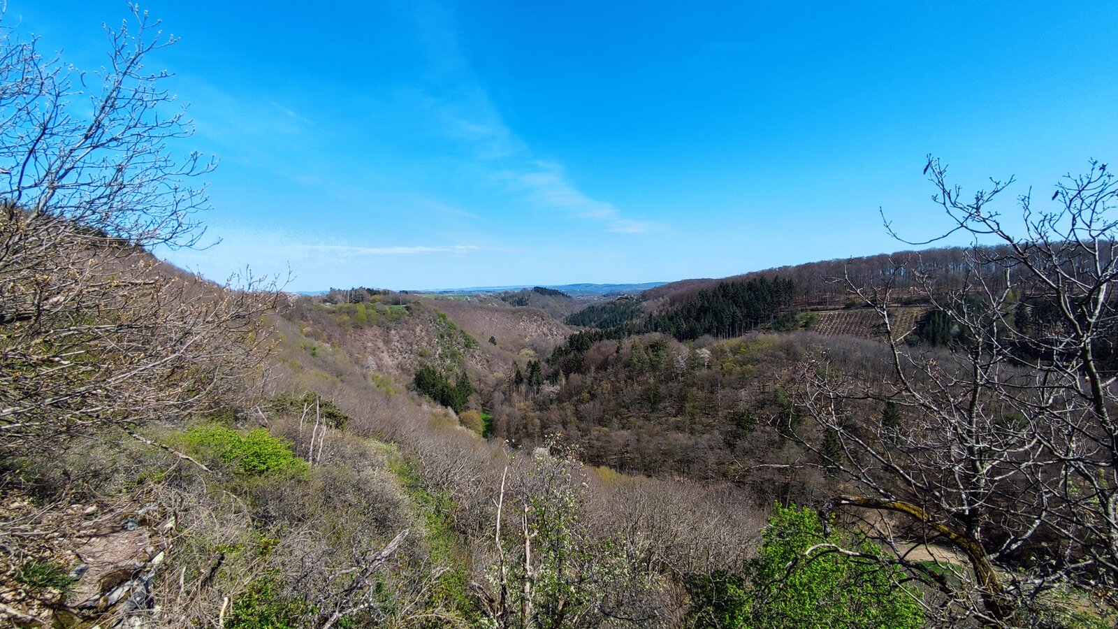 IMG_20210425_155354.jpg