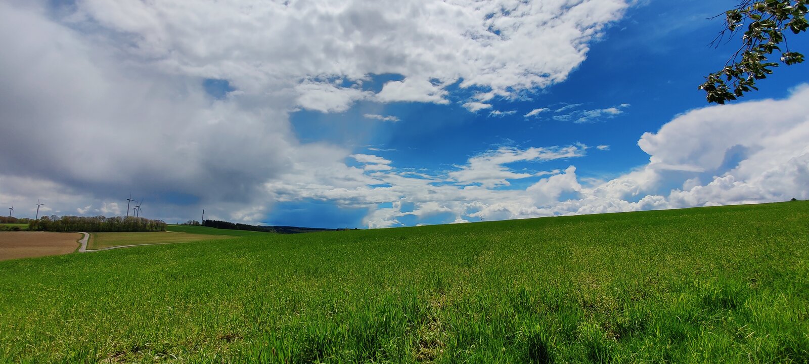 IMG_20210514_134329.jpg