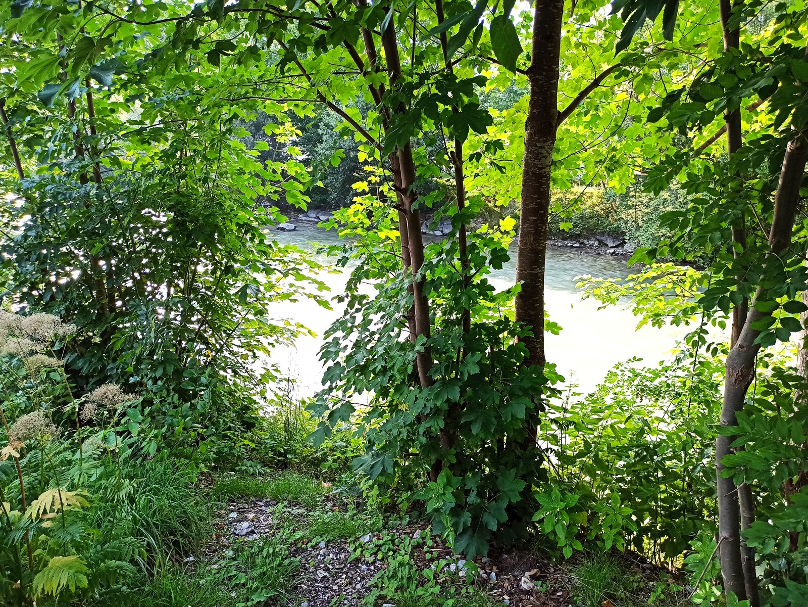 IMG_20210814_172415.jpg