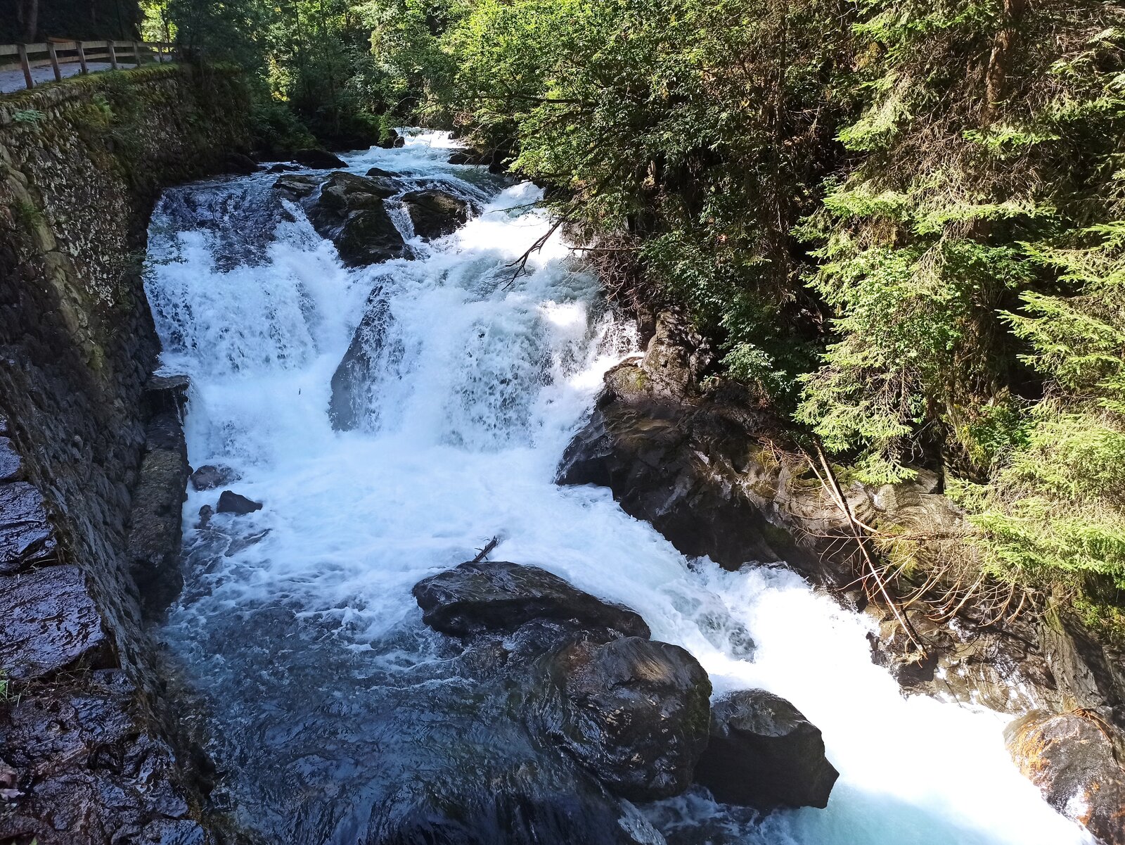 IMG_20210815_120917.jpg