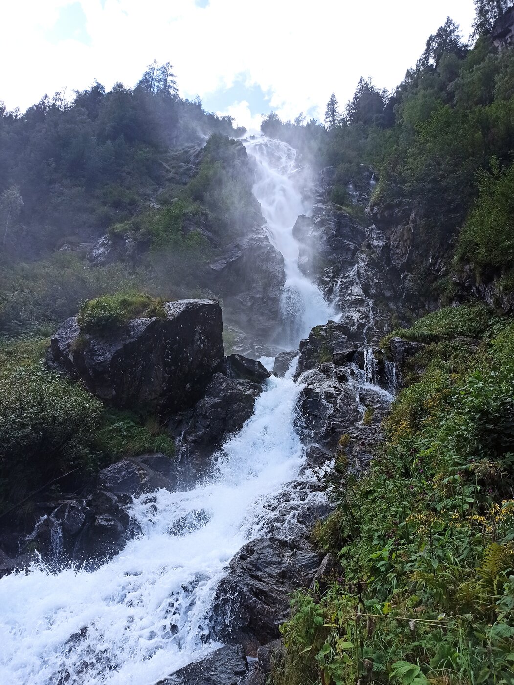 IMG_20210817_115123.jpg