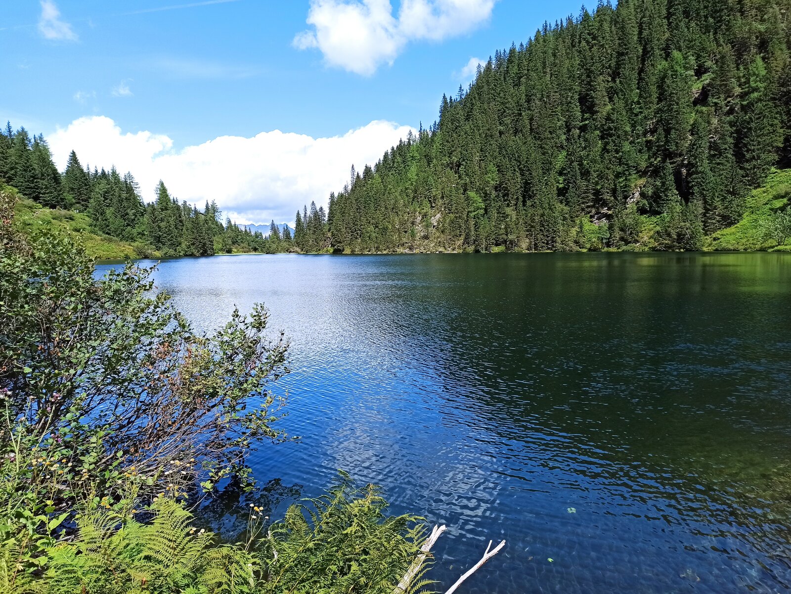 IMG_20210817_135701.jpg