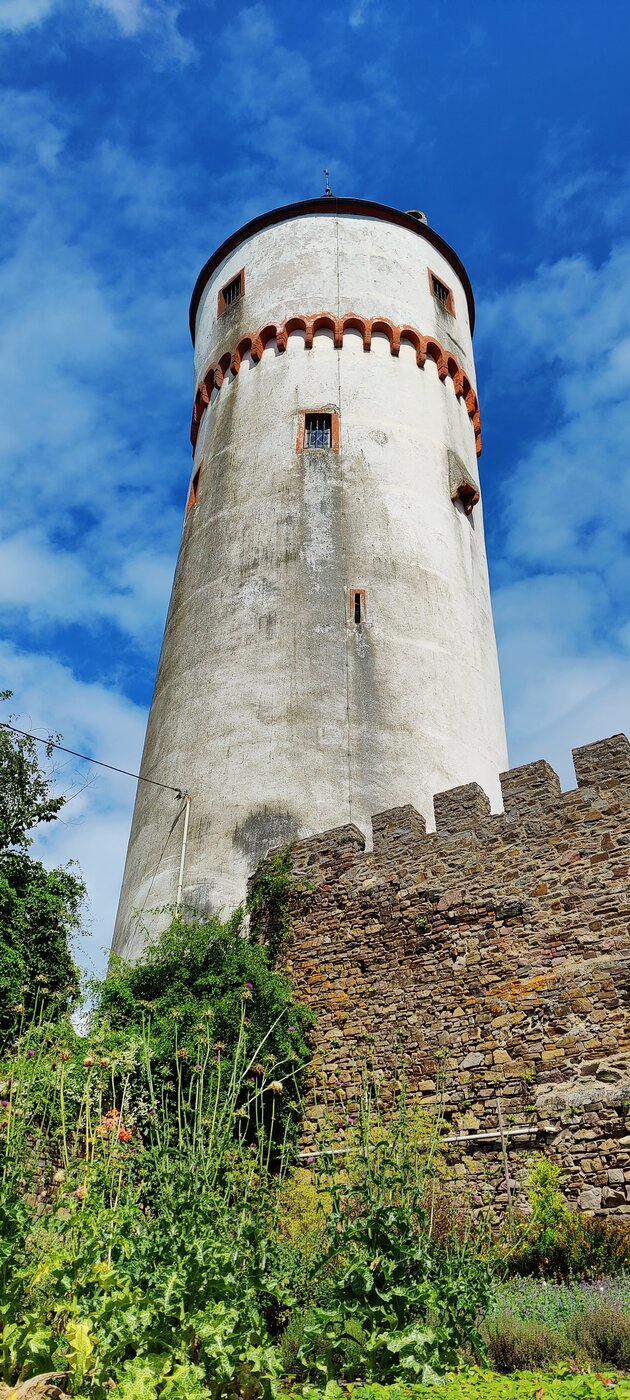 IMG_20210820_140040.jpg