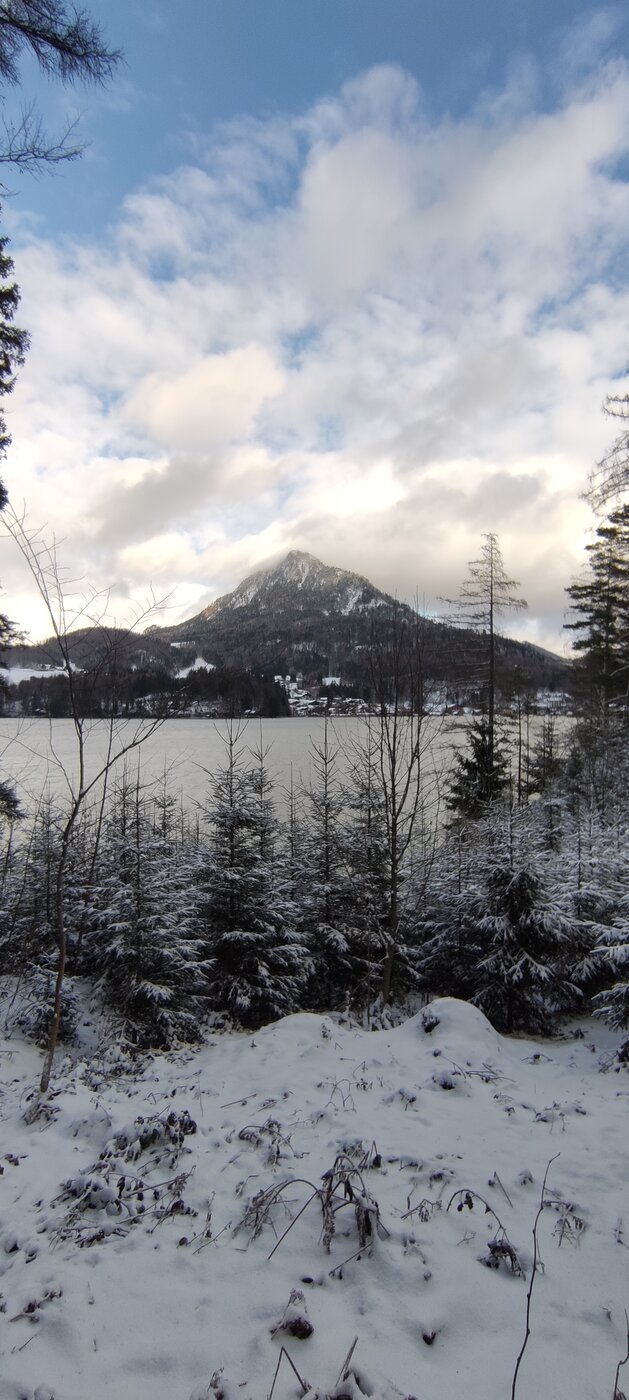 IMG_20220108_131647.jpg