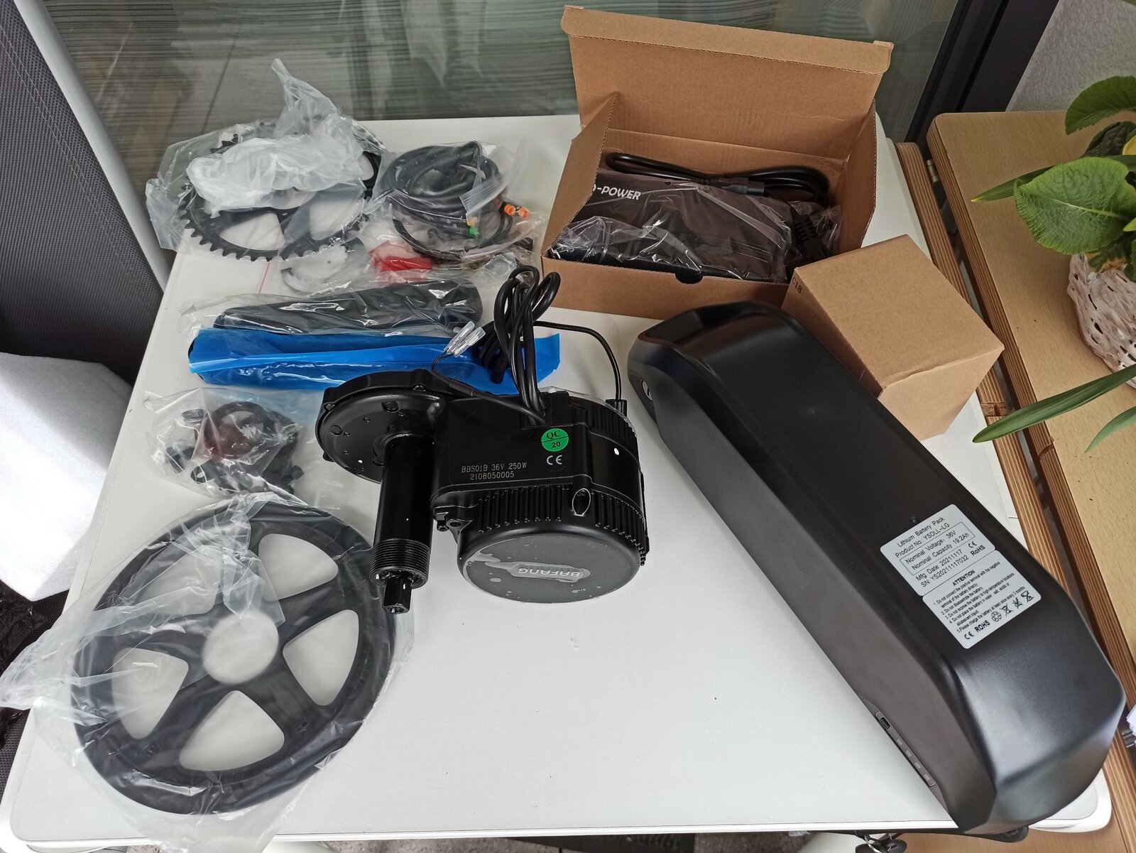 IMG_20220423_110230.jpg