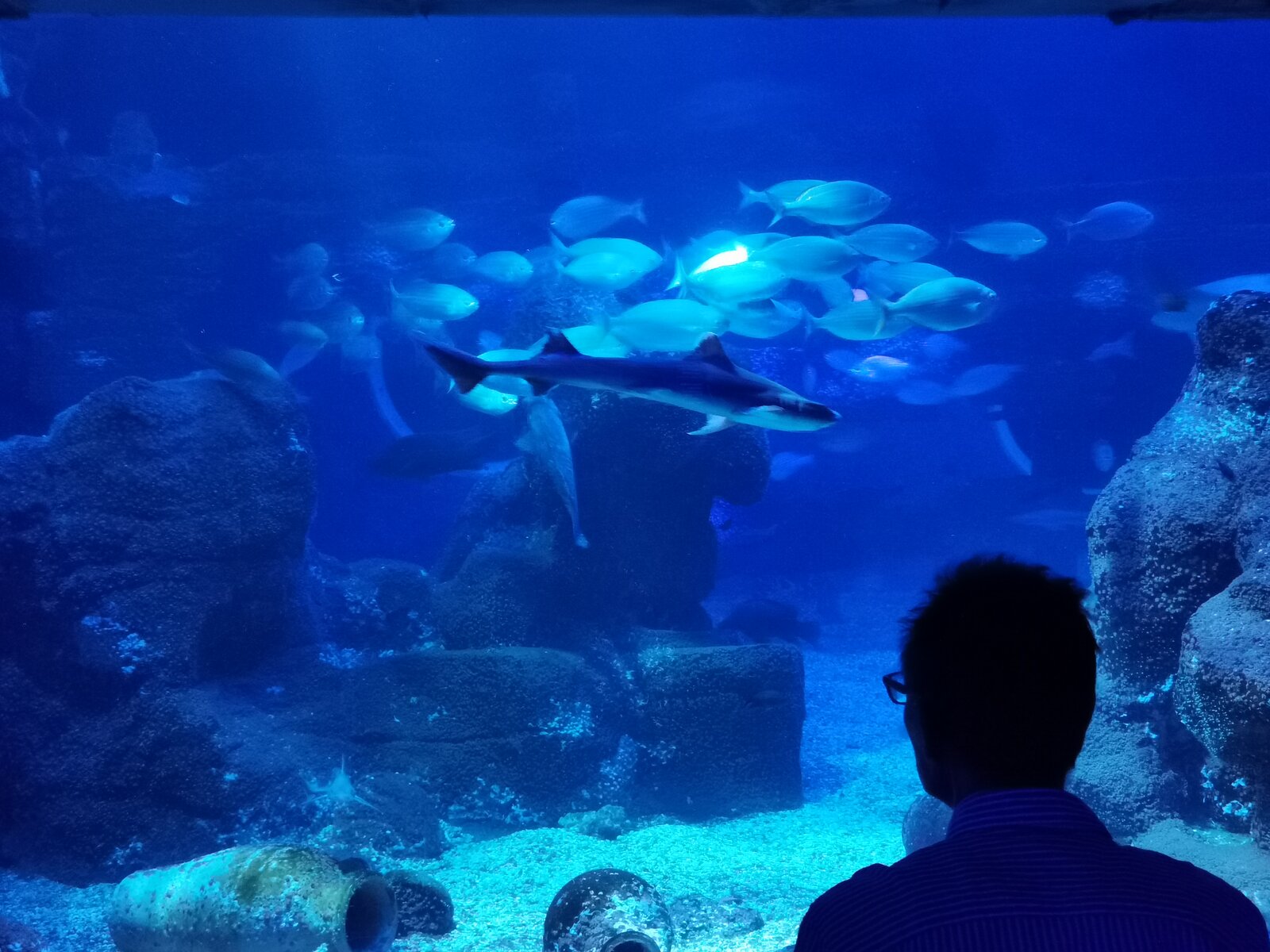 IMG_20220910_141923.jpg