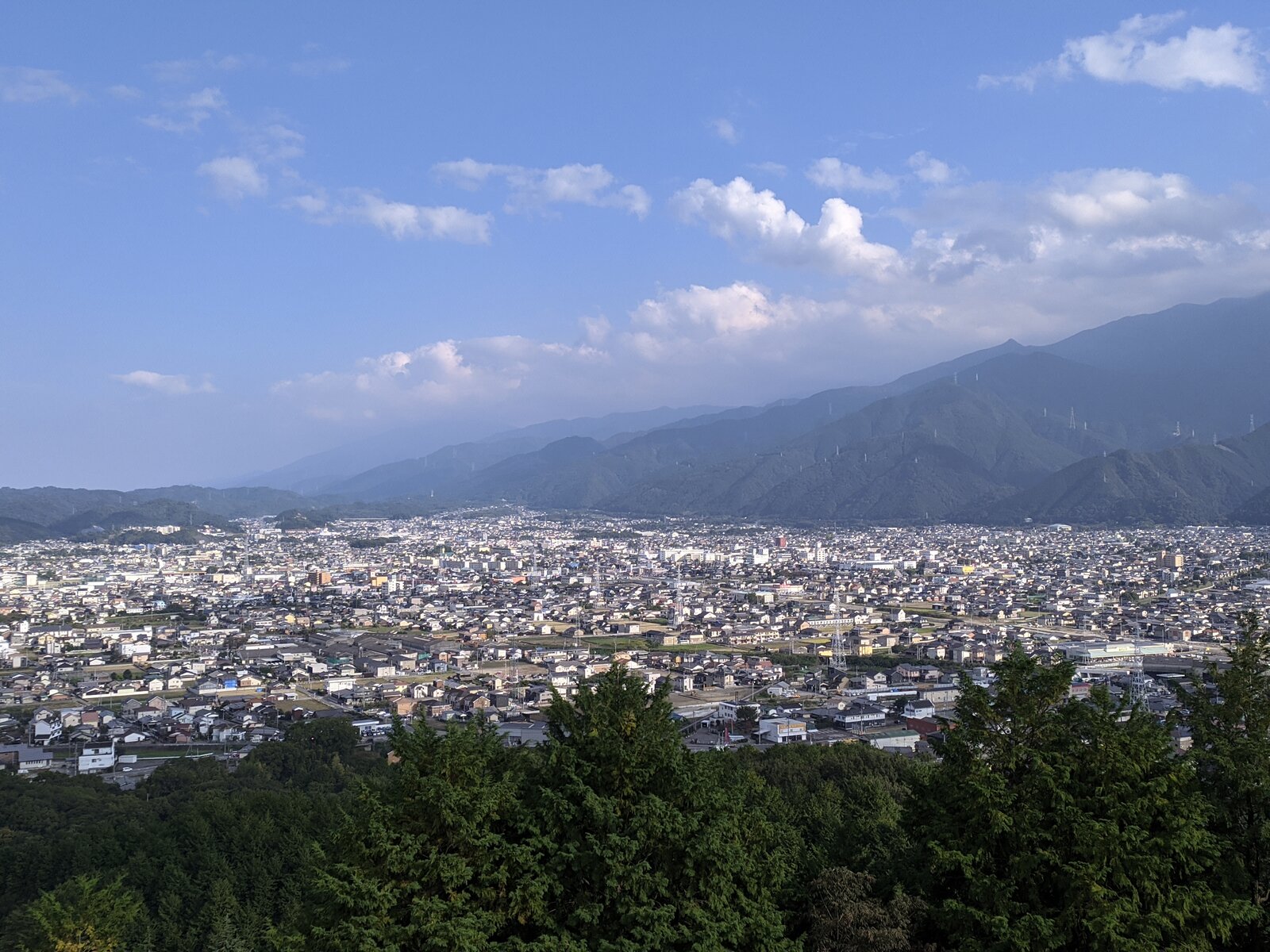 IMG_20221022_144759.jpg