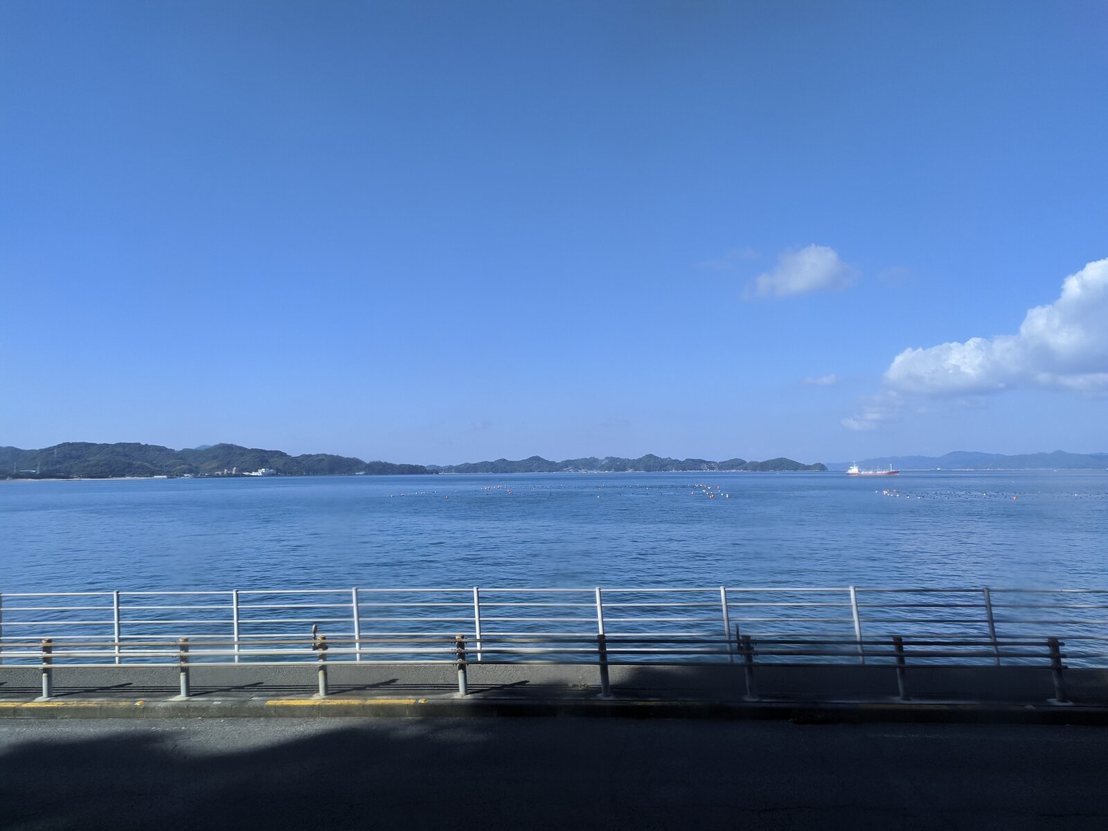 IMG_20221023_095919.jpg