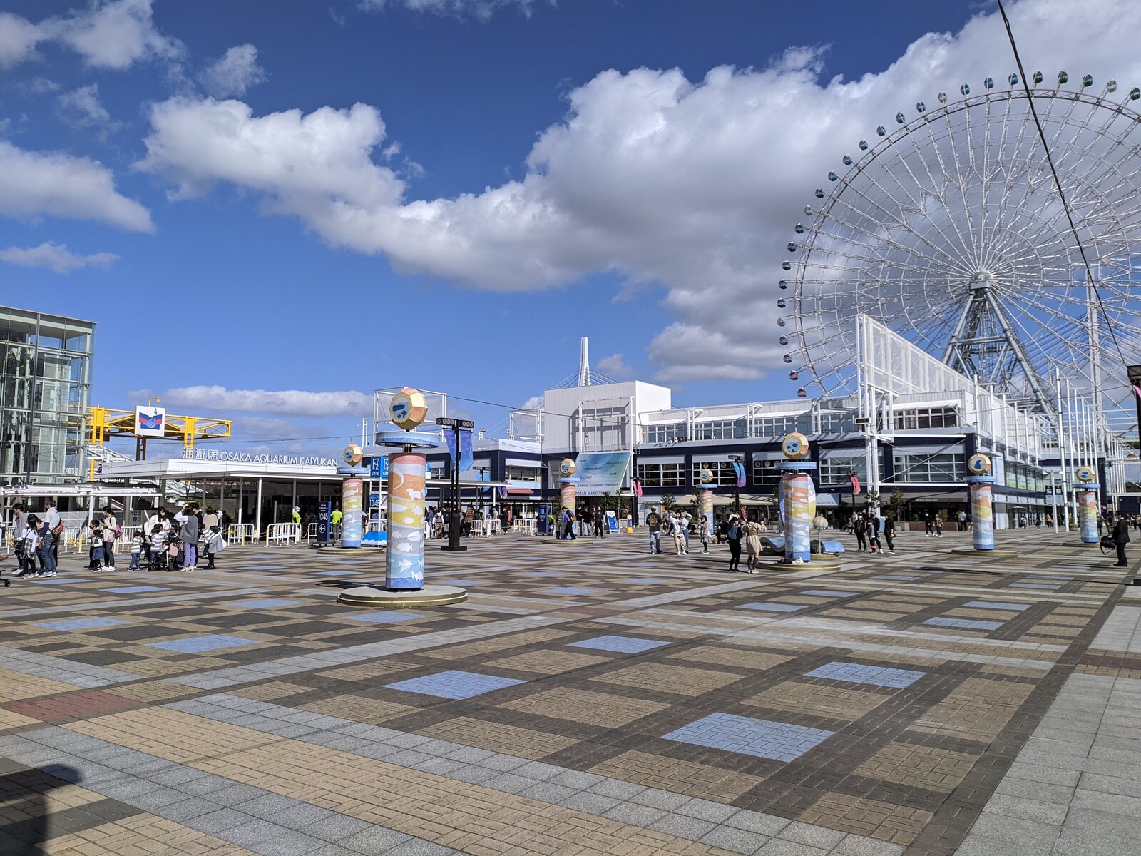 IMG_20221029_104240.jpg