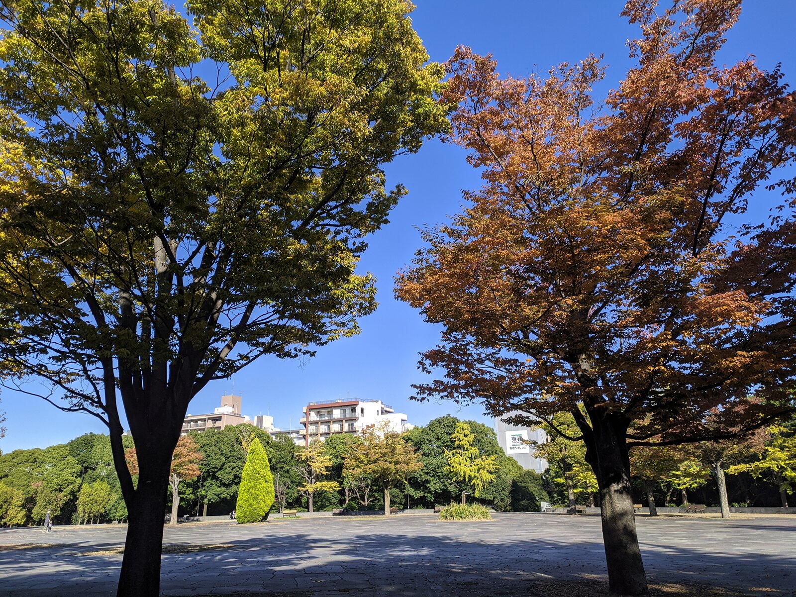 IMG_20221102_141024.jpg