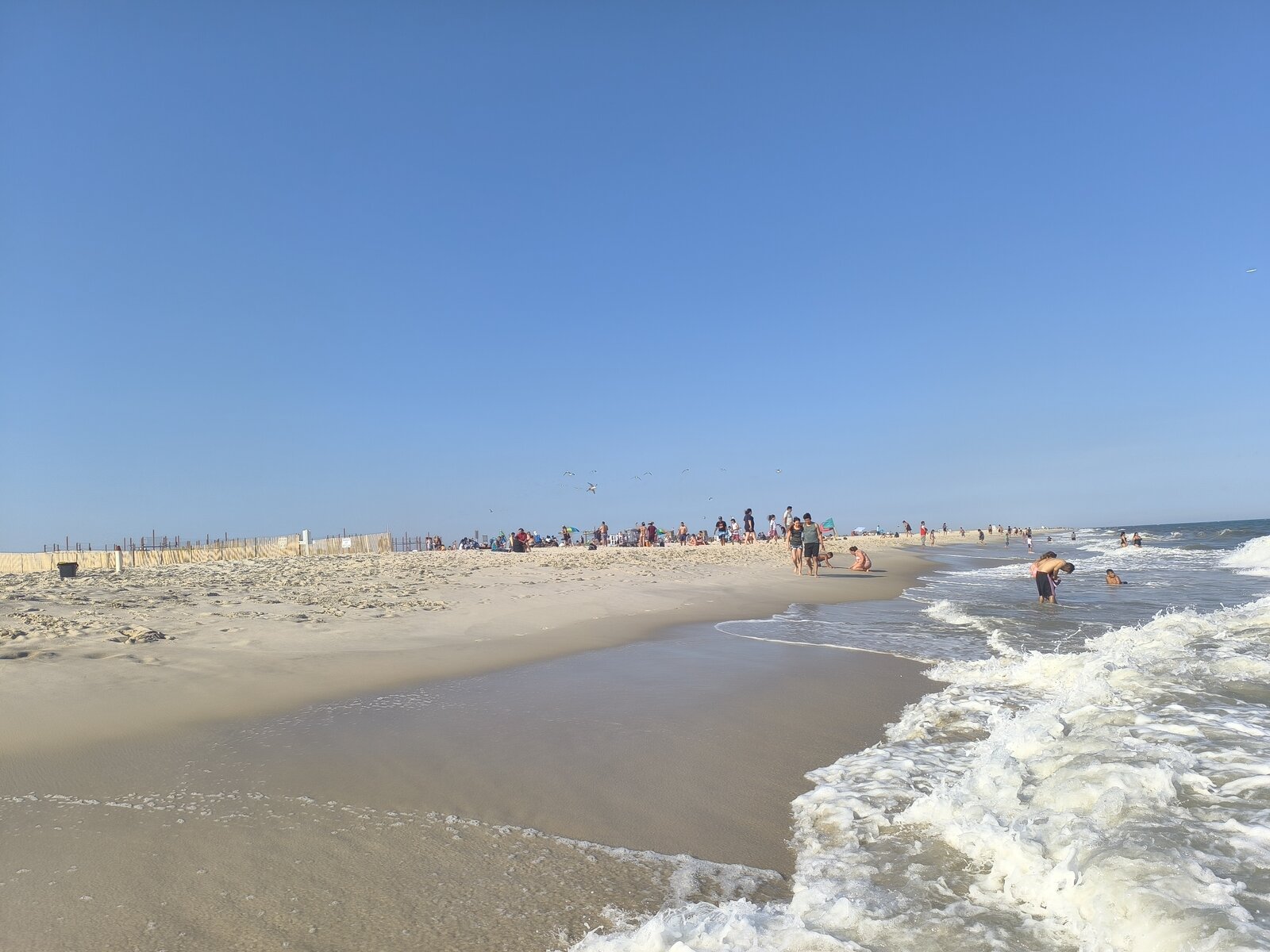 IMG_20240613_174339.jpg