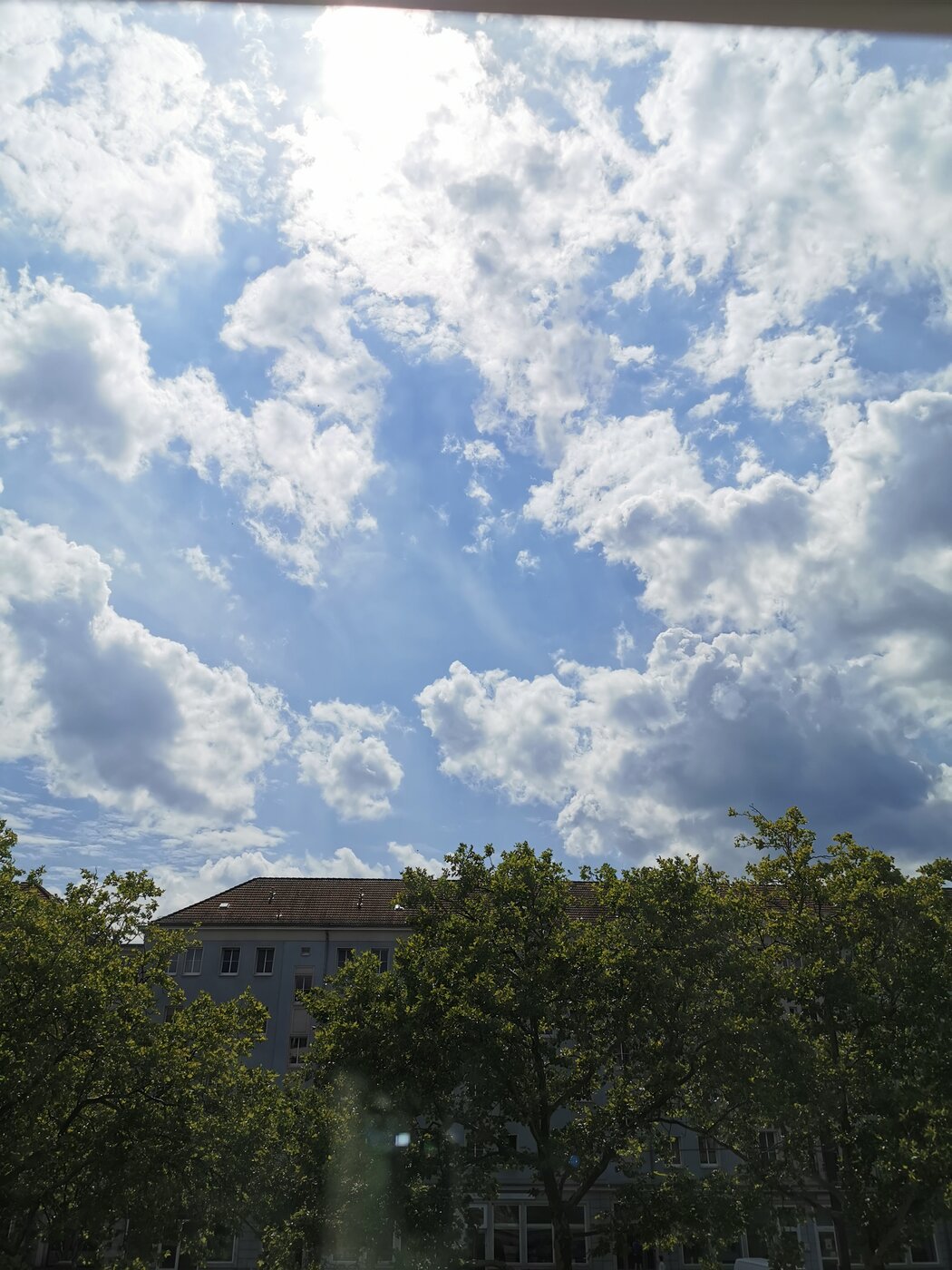 IMG_20250714_142258.jpg