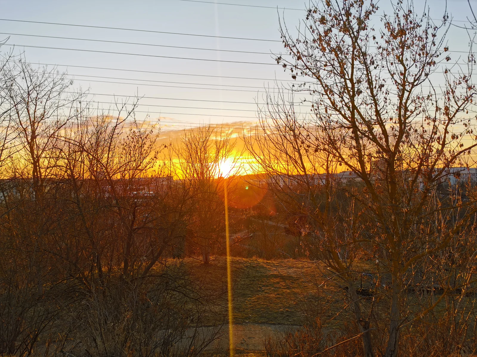 IMG_20260301_172856.webp