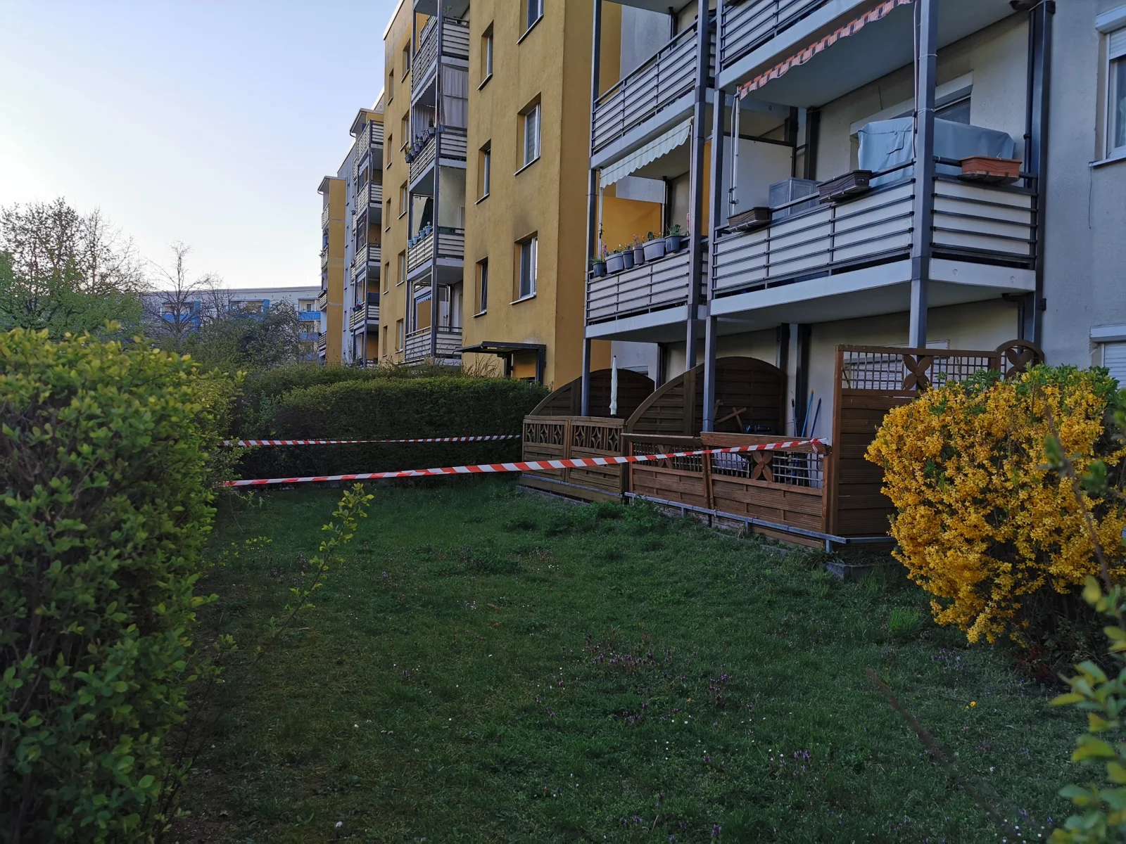IMG_20260407_190825.webp