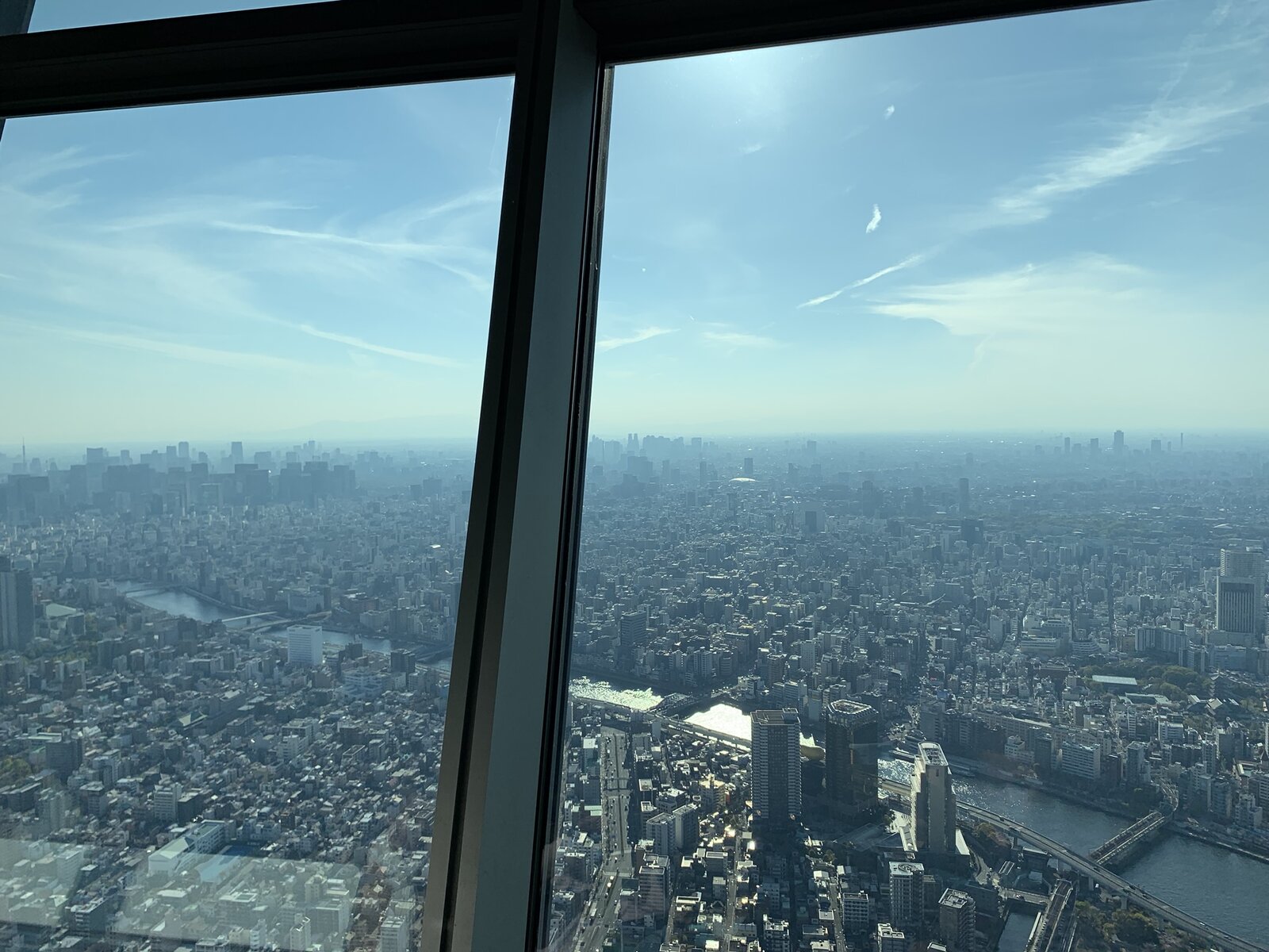 IMG_2314.JPEG