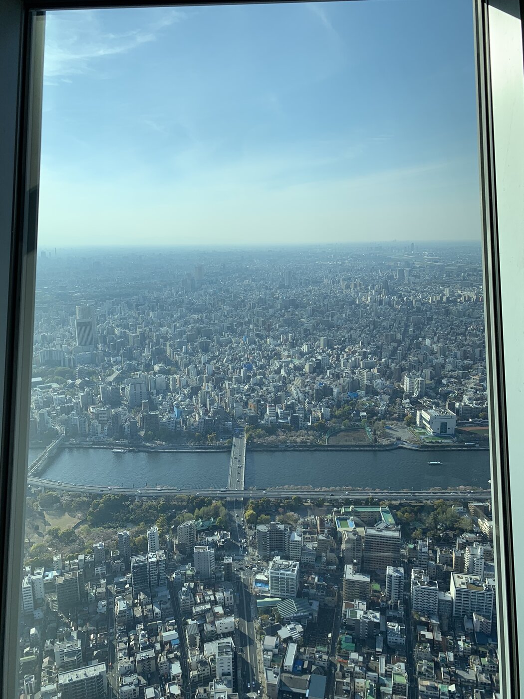 IMG_2316.JPEG