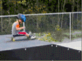 IMG_2623.GIF