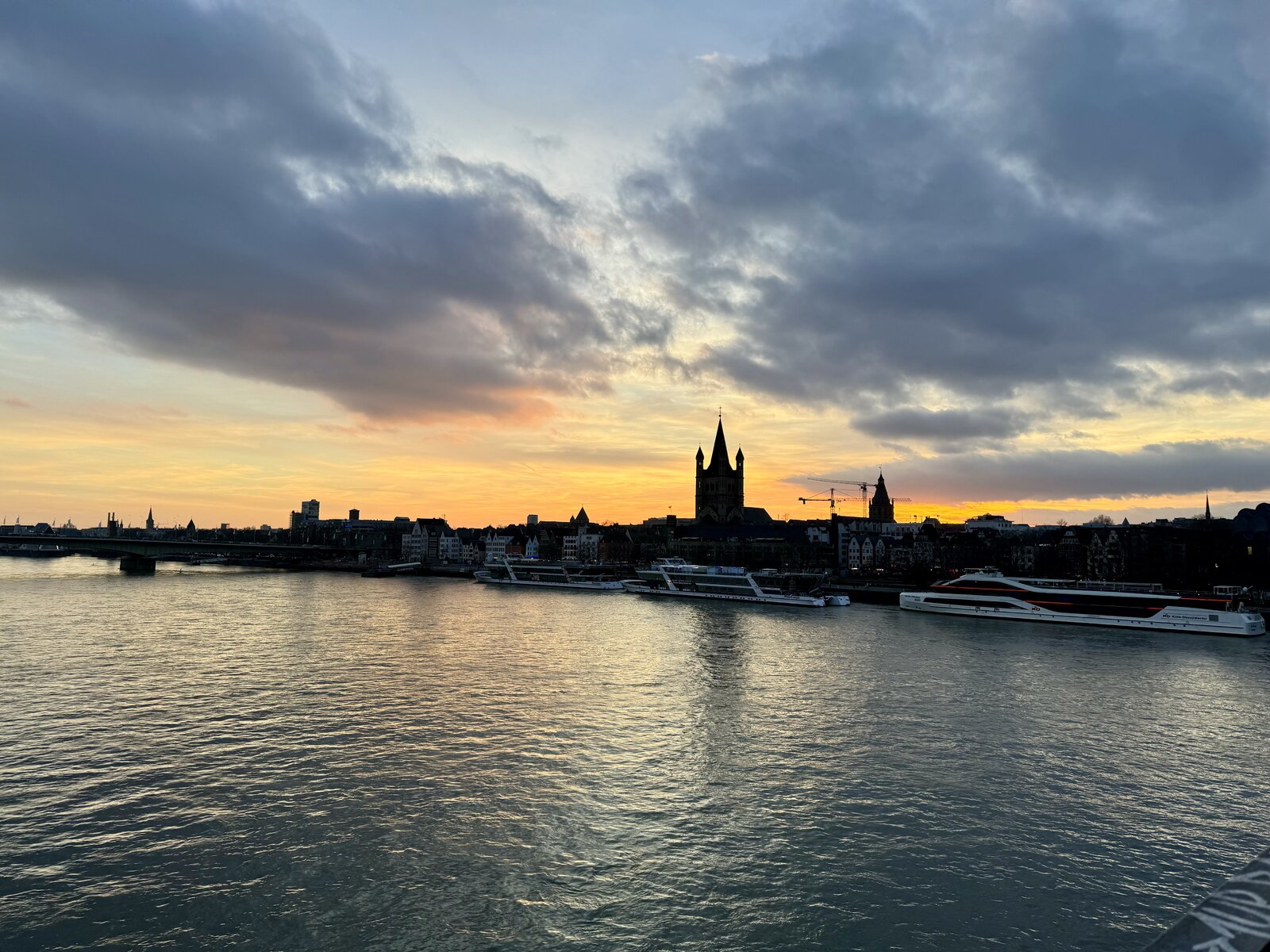 IMG_2980.jpeg