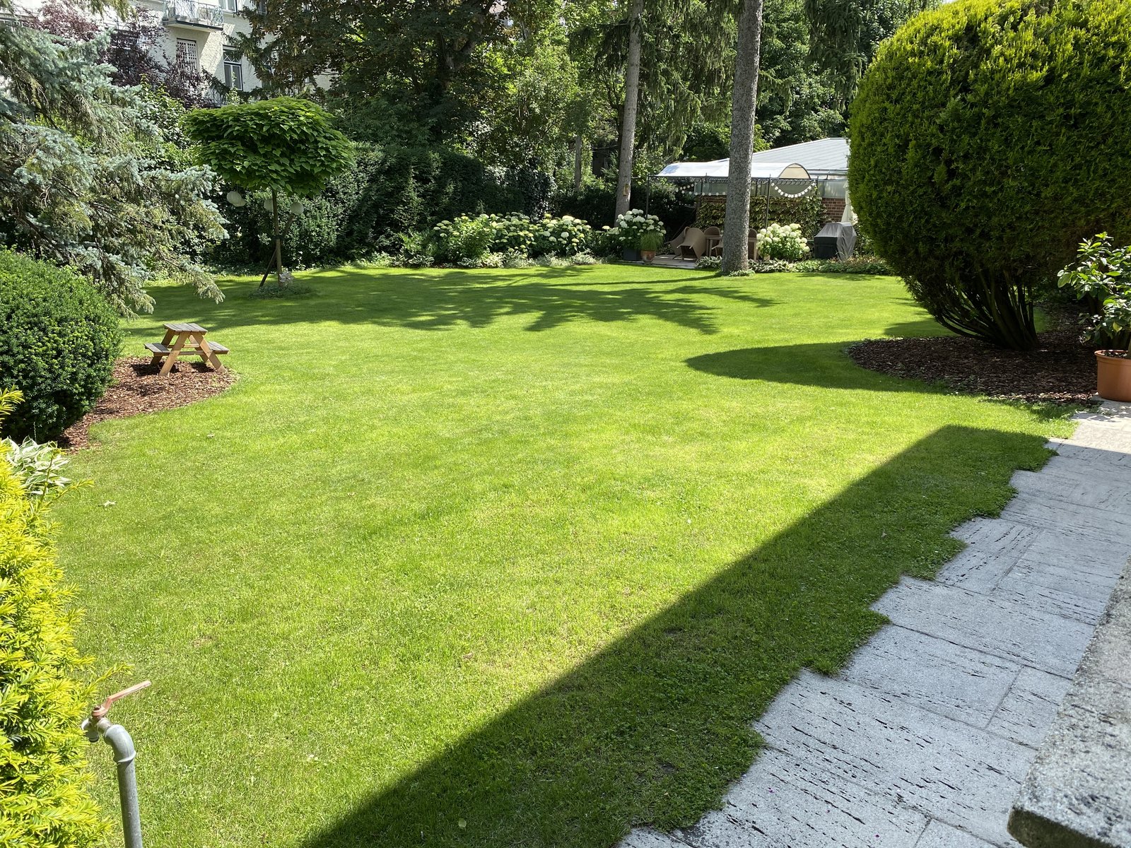 IMG_3007.jpeg