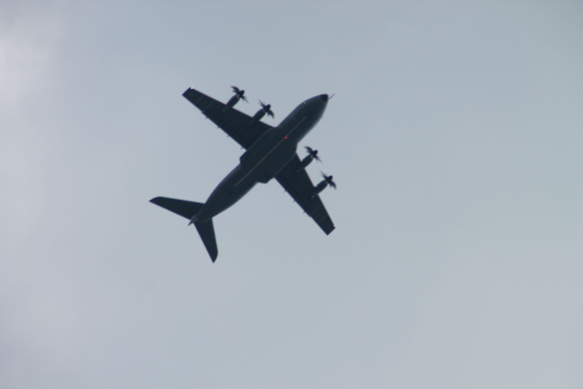 IMG_3196.JPG